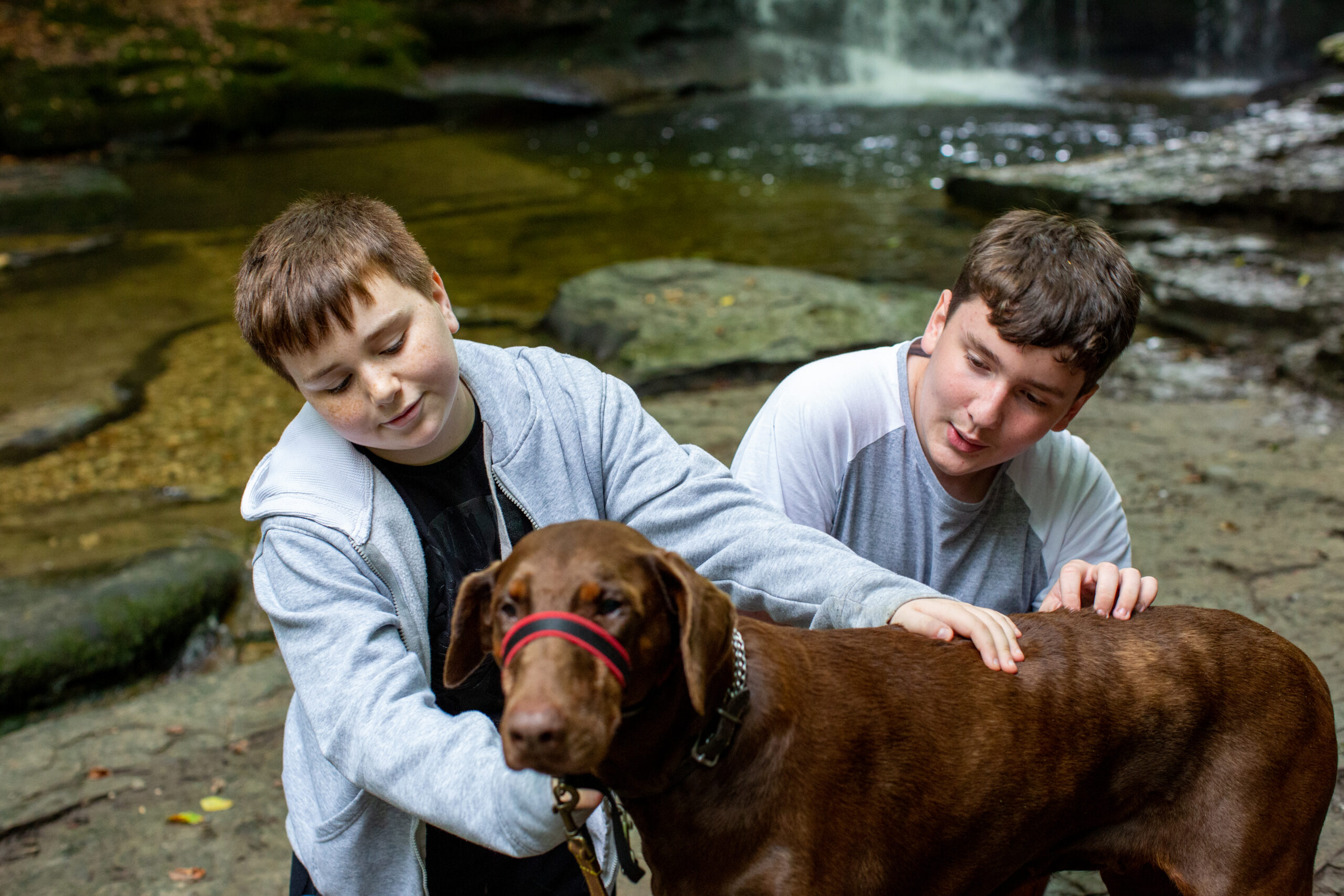 Two young boys playing with dog